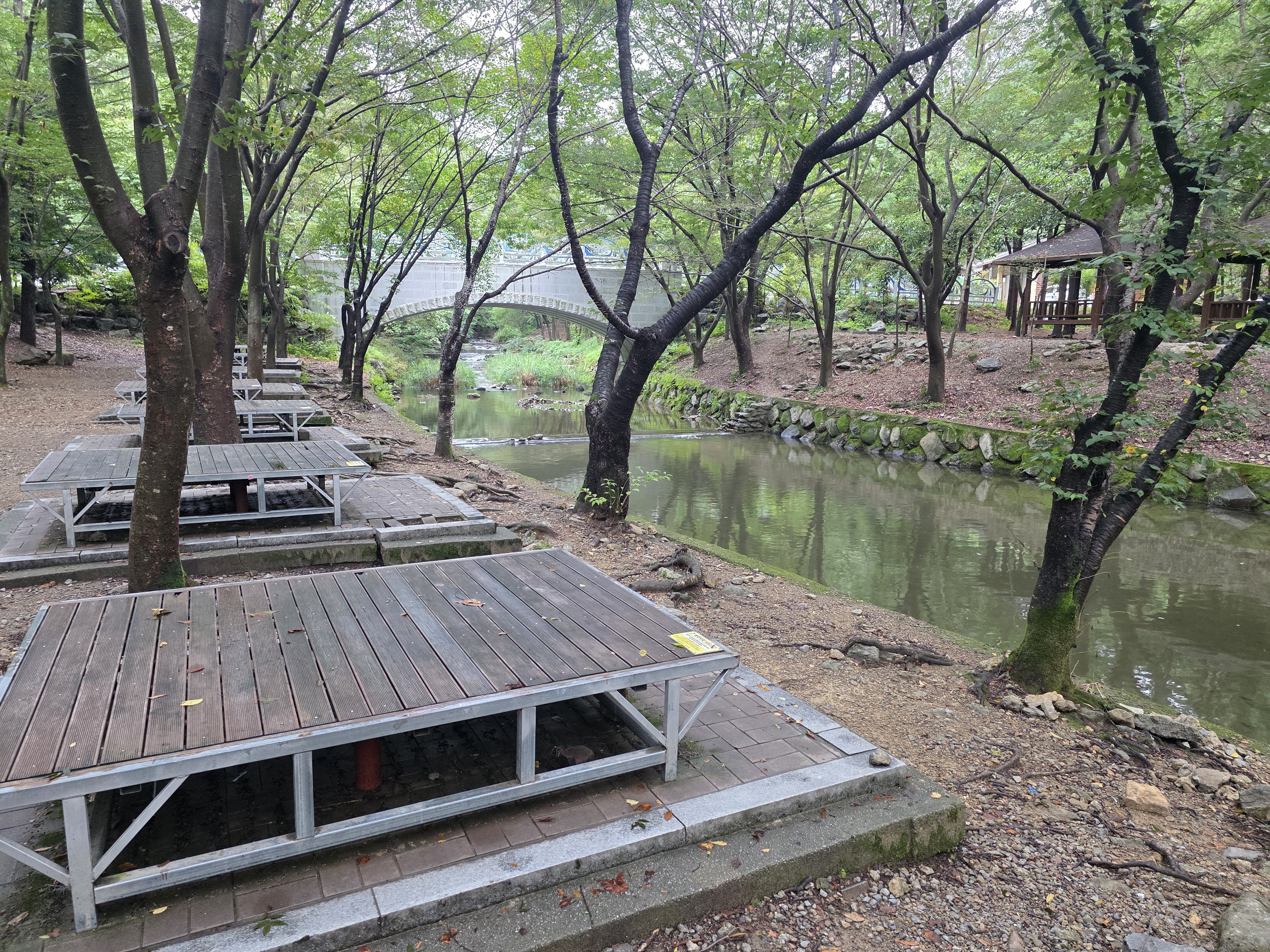 고산자연휴양림 사진