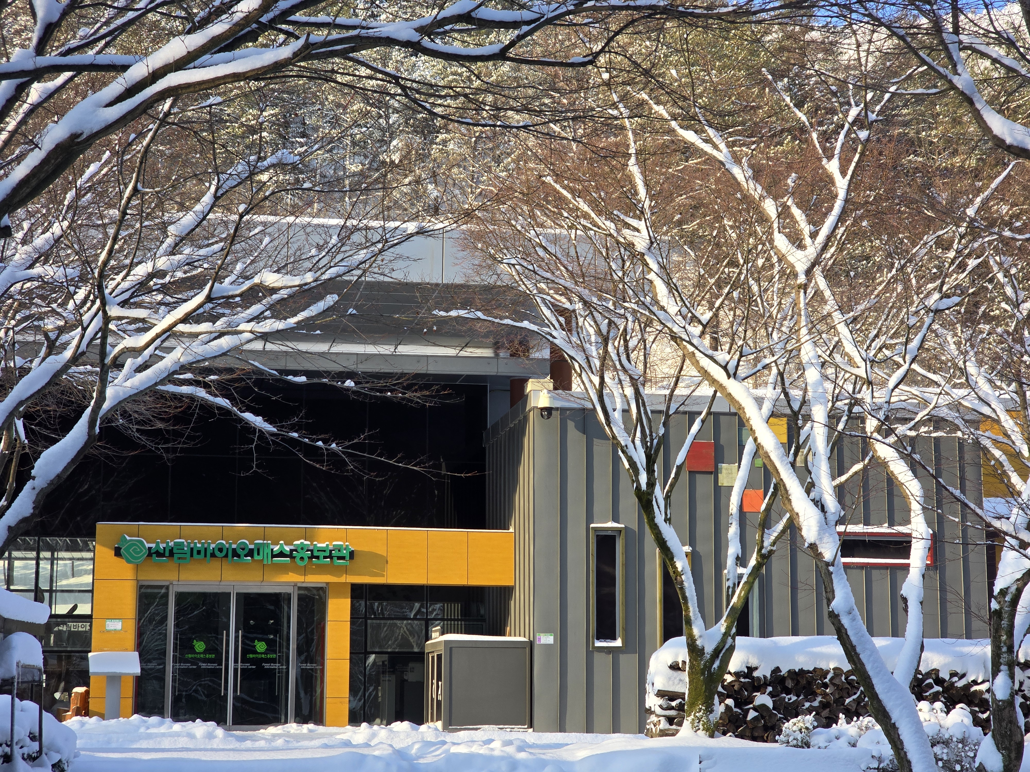 고산자연휴양림 사진